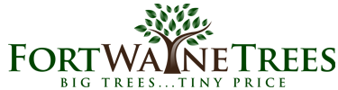 fwt-logo-375-100