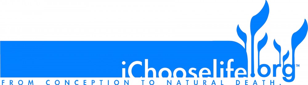 cropped-blue-w-words2