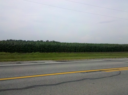 Knee High By The 4th of July