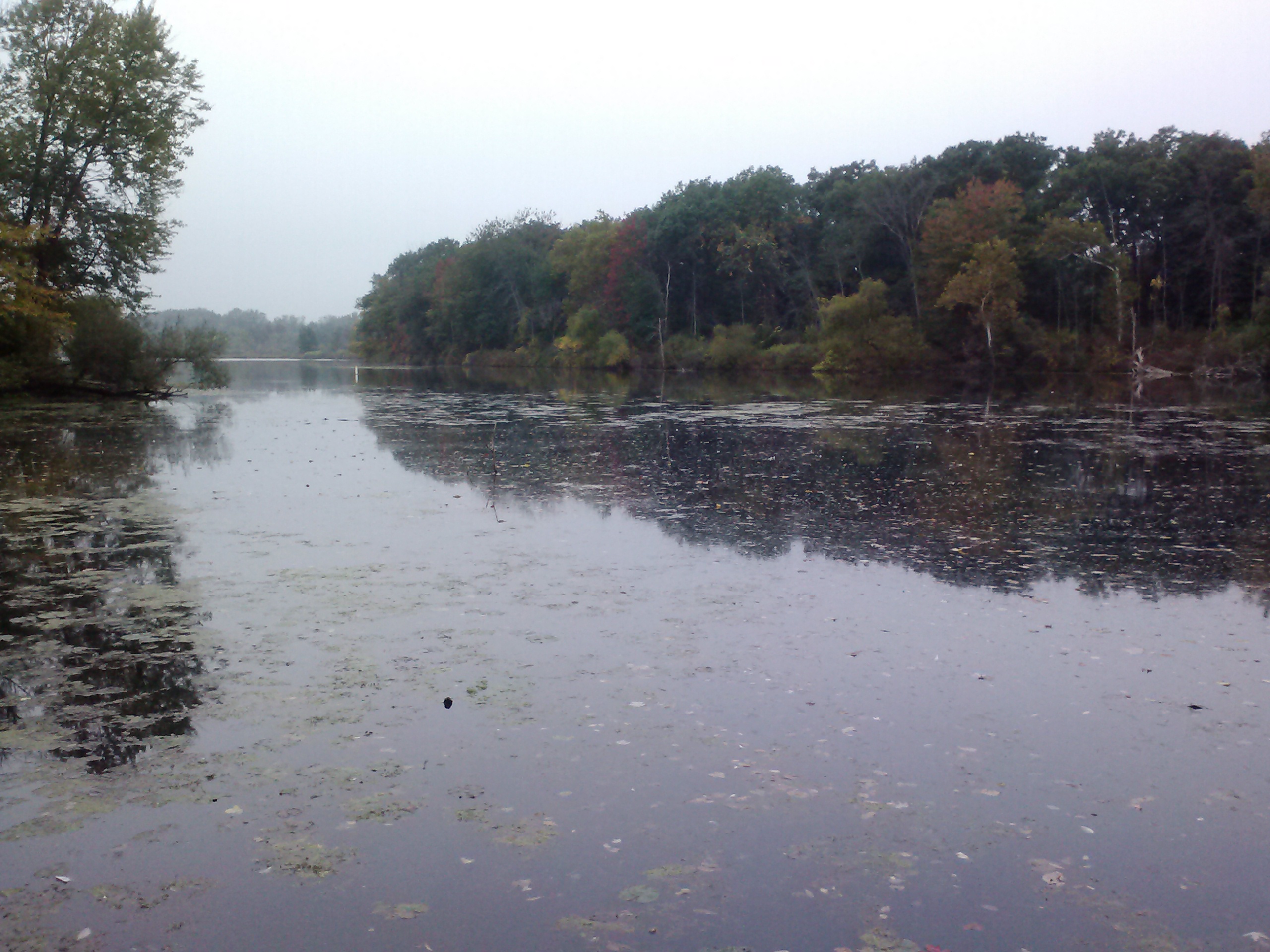 Paddle Upstream or Go with the Flow?