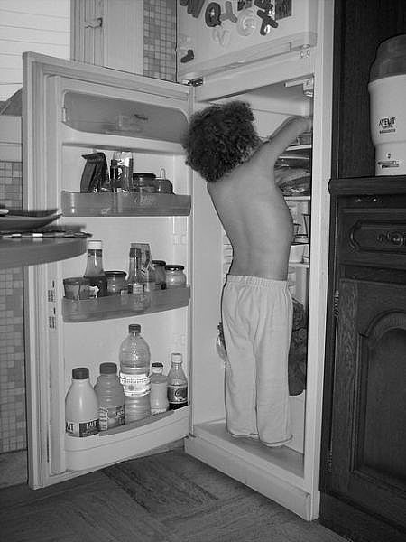 refrigerator-main_Full