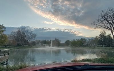 A Few Personal Thoughts for August 2024